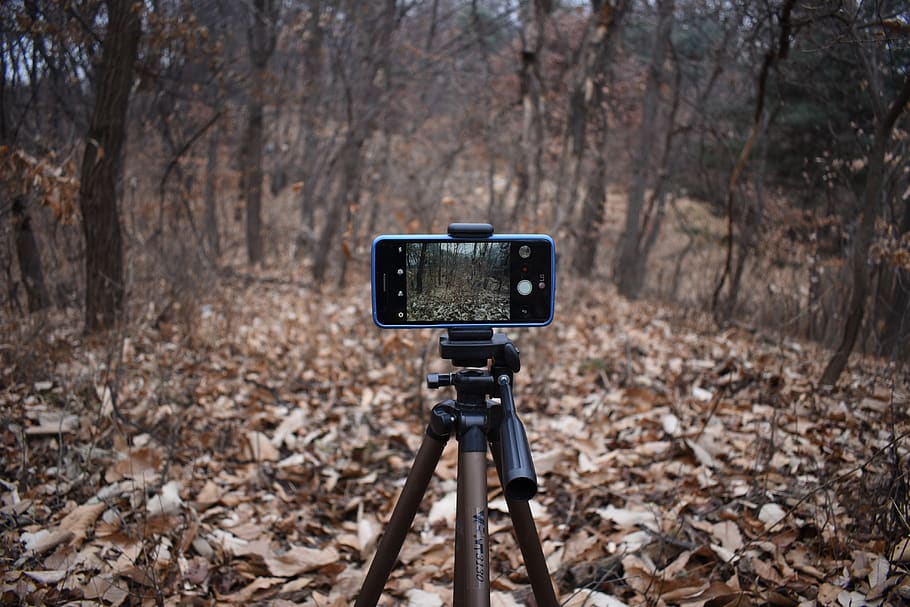 smartphone tripod