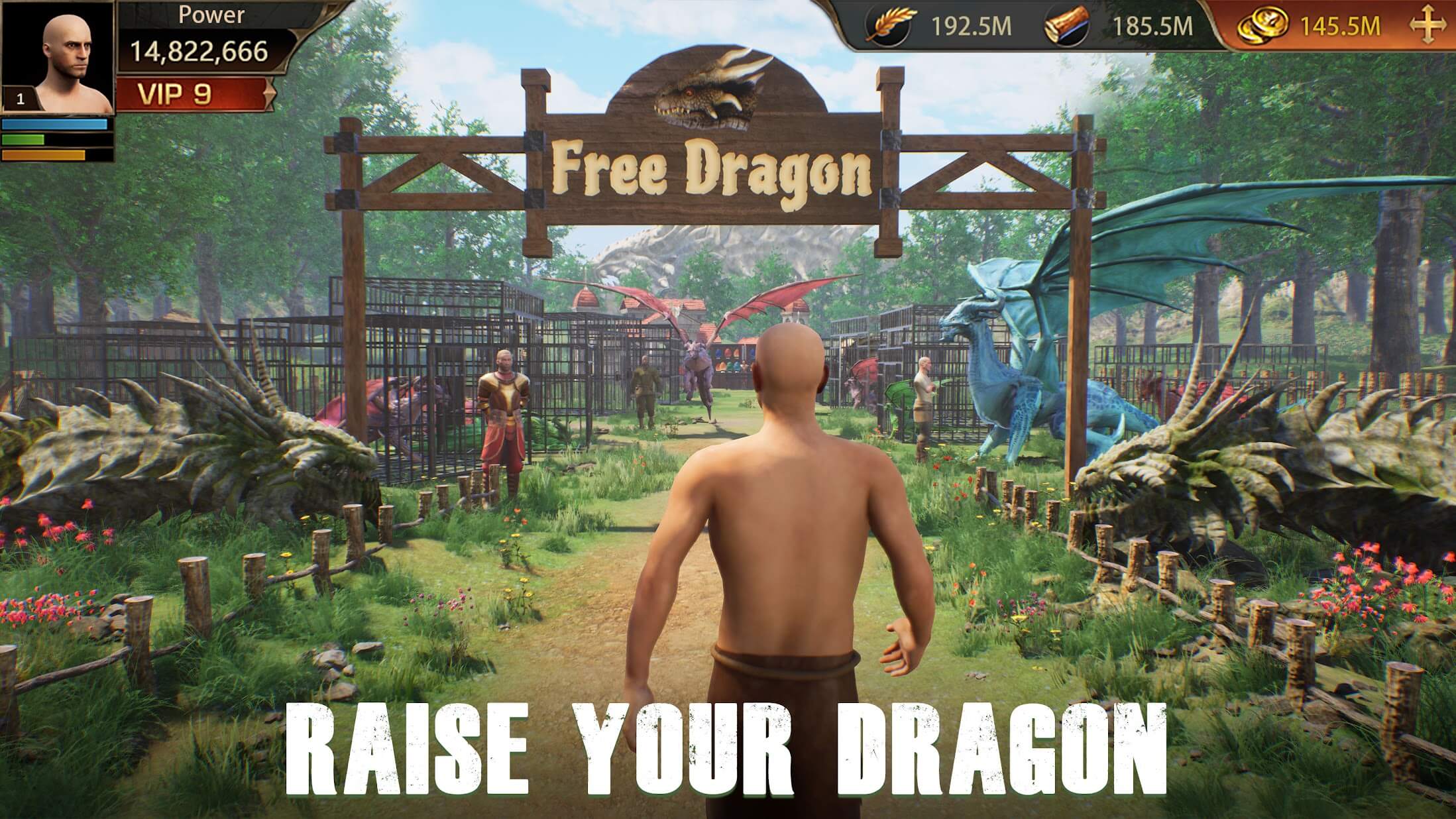 raise your dragons