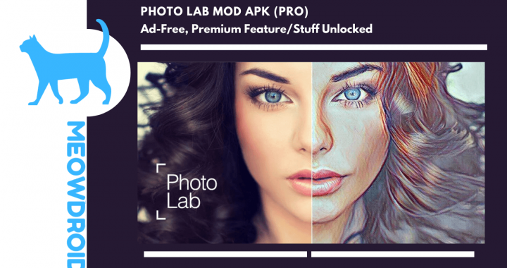 Photo Lab MOD APK V3.12.37 (Premium/Pro Unlocked)