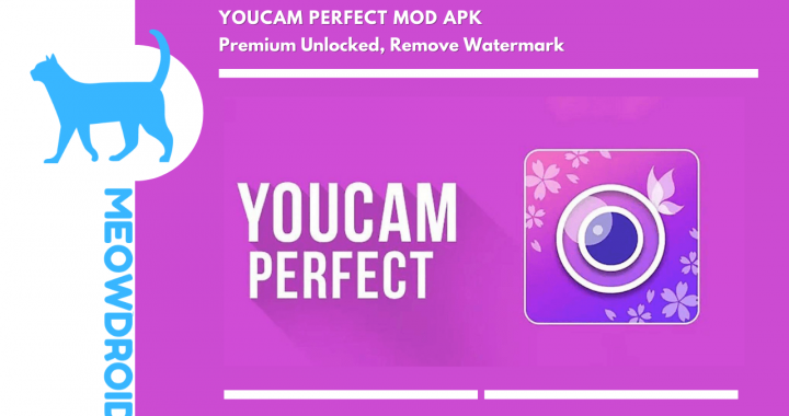 YouCam Perfect MOD APK V6.0.1 (Fully Premium Unlocked)