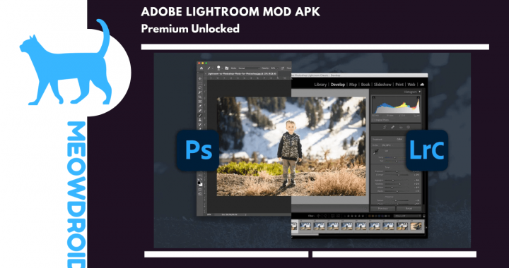 Lightroom MOD APK 8.2.1 (Premium Unlocked) Android İçin İndir